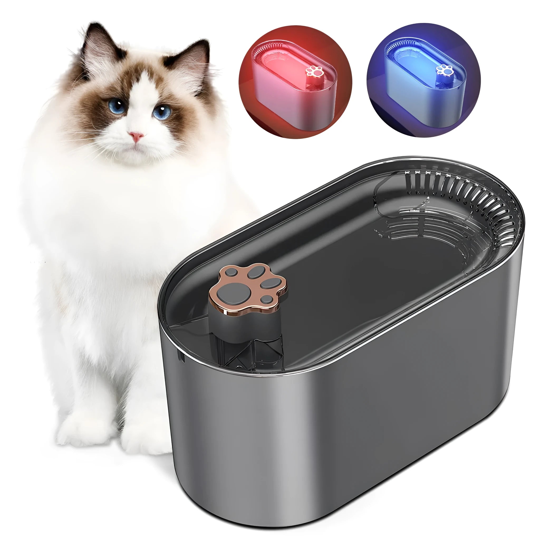 Berlin blue automatic pet water fountain with filter on a kitchen floor.