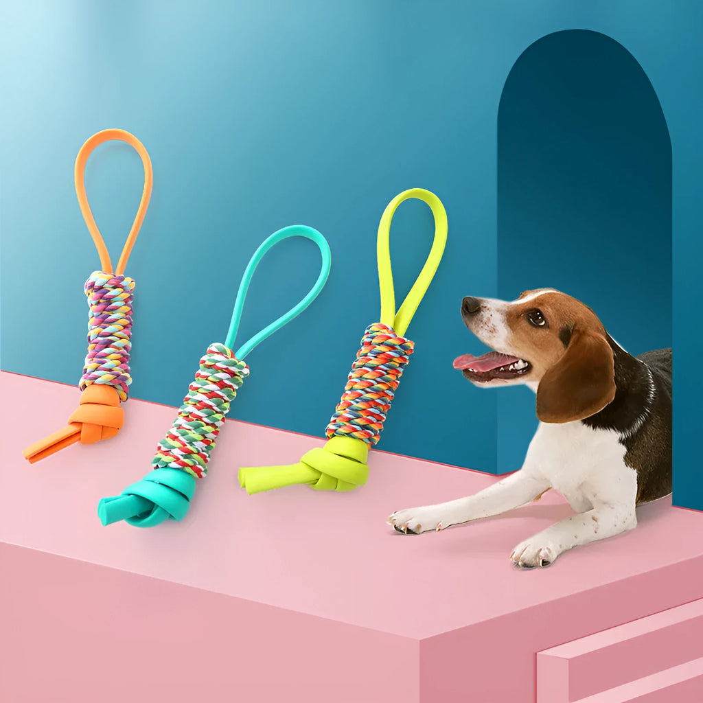 Dog chewing on a TPR orange chew toy designed for dental cleaning and bite resistance