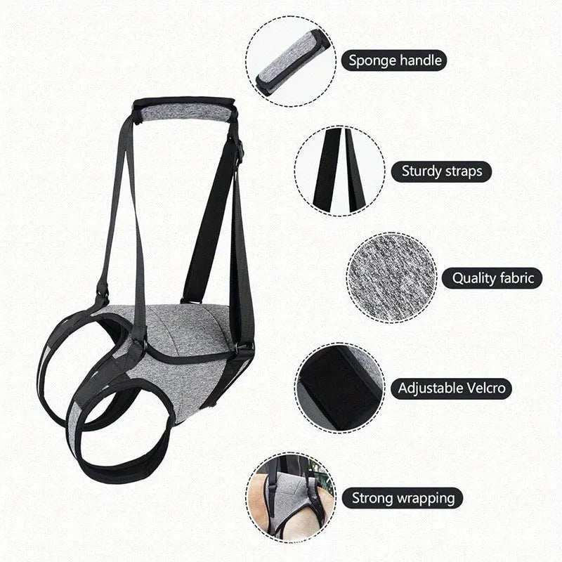 Grey neoprene dog rear leg support harness showing adjustable waist and thigh straps on a size chart.