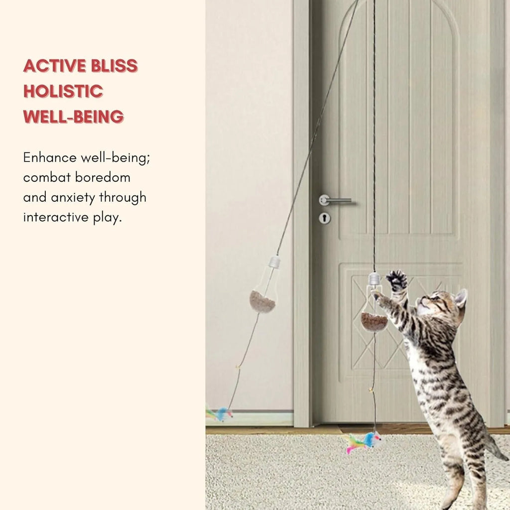 Grey interactive cat toy hanging from door frame with retractable elastic rope, treat dispenser bulb, and dangling mouse attachment