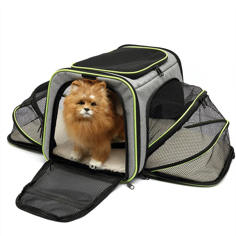 Cat carrier bag in black or grey with colour piping, made from 600D cation fabric