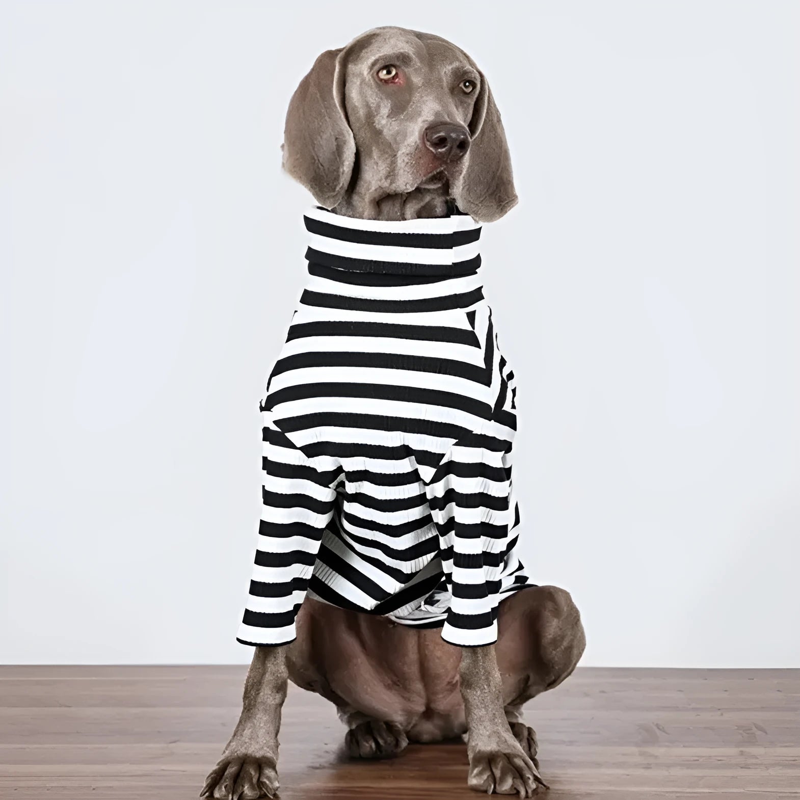 Thin black and white inner garment for large breed dogs made from lightweight polyester fabric