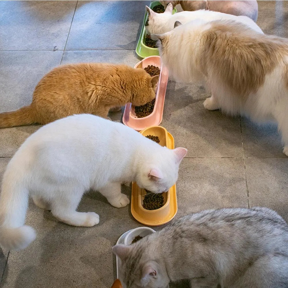 Green partitioned pet feeder bowl with four sections for dog or cat dry food.