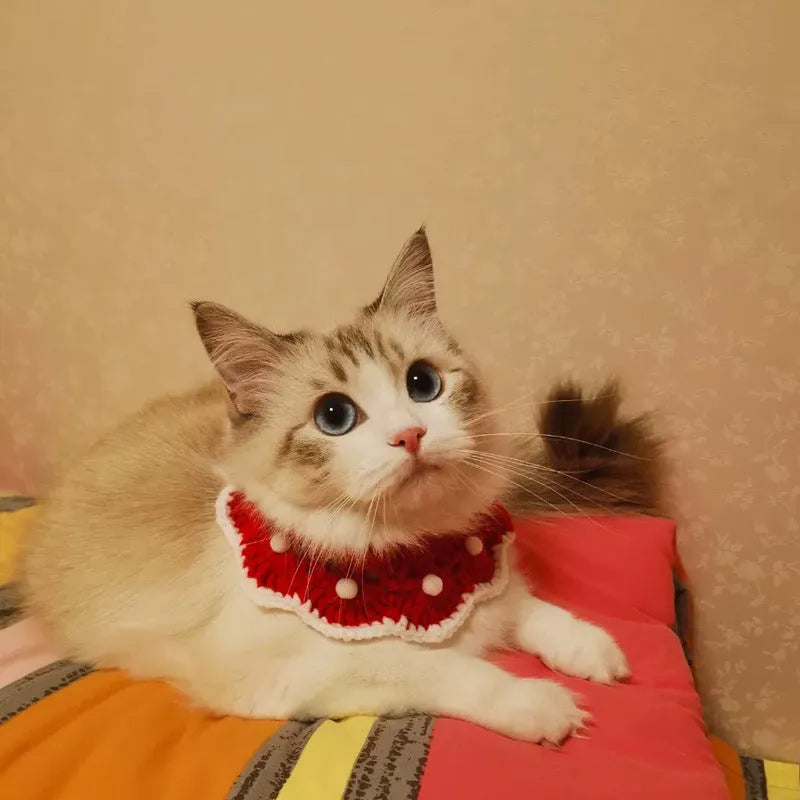 Wool knitted pet collar with cartoon pattern for cats dogs rabbits in milk cotton material