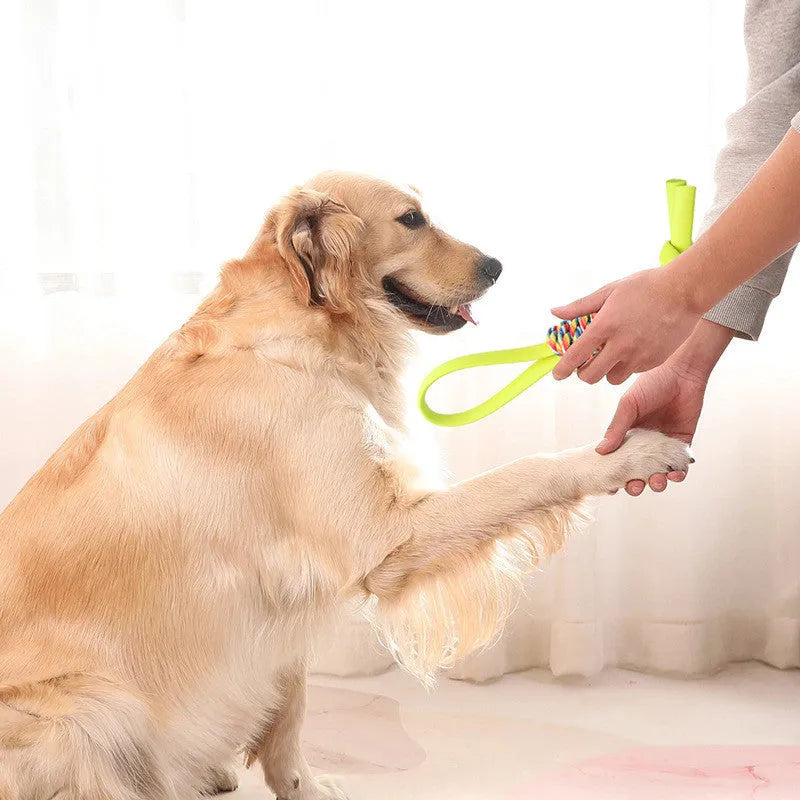 Dog chewing on a TPR orange chew toy designed for dental cleaning and bite resistance