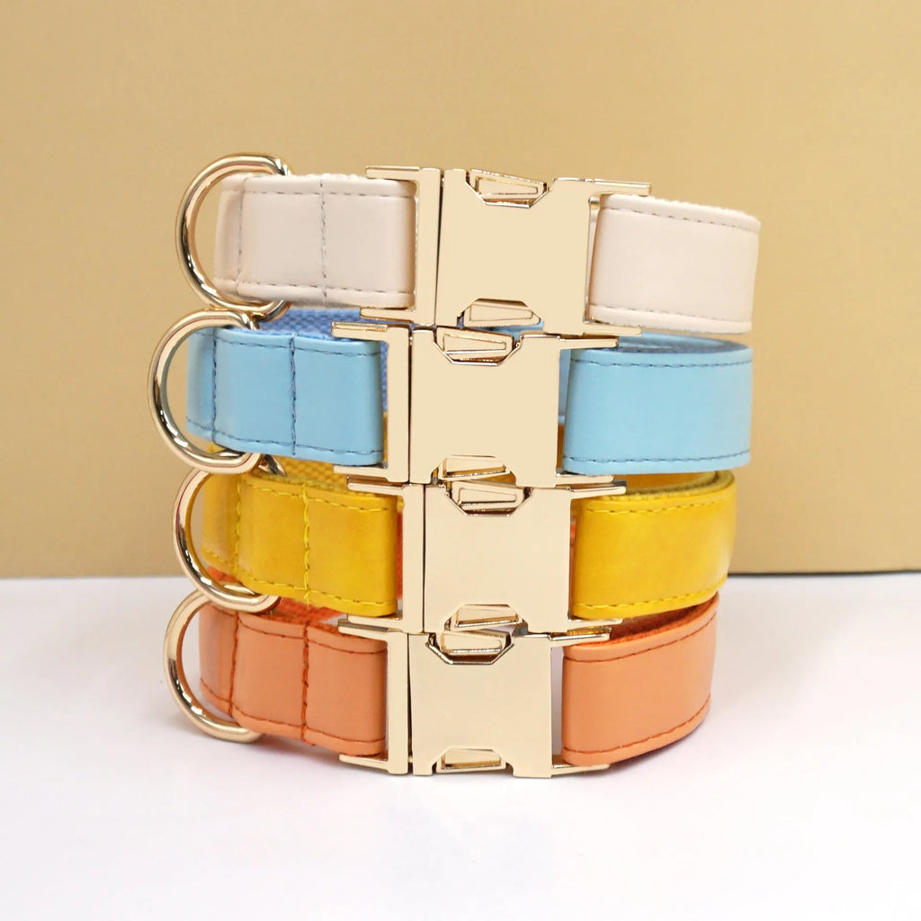 Solid colour leather dog collar shown in a selection of hues including caramel, dark blue and rose pink.