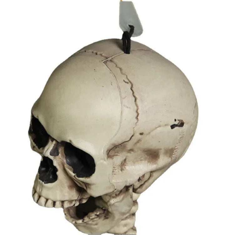 170cm tall plastic skeleton model with detailed skull for anatomical displays and Halloween decorations