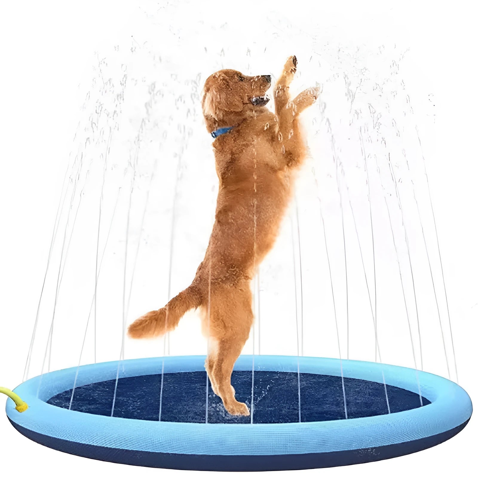 Blue anti-slip dog splash pad mat with sprinkler jets, set up on a garden lawn.