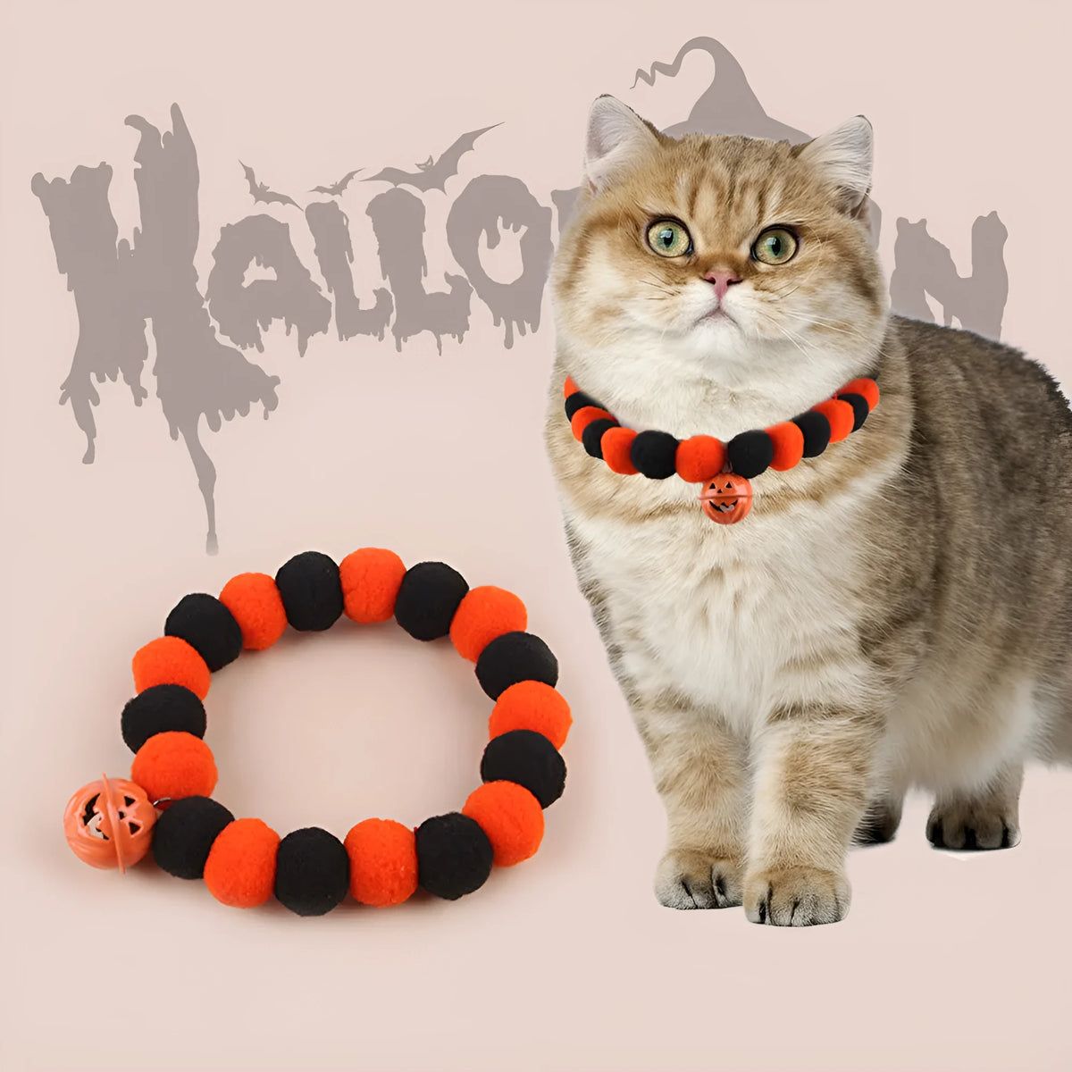 Halloween pet collar with orange pumpkin charm on black and white patterned nylon strap.