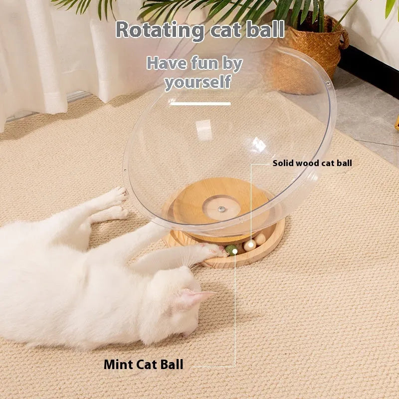 Transparent acrylic cat space capsule bed showing curved bathtub design