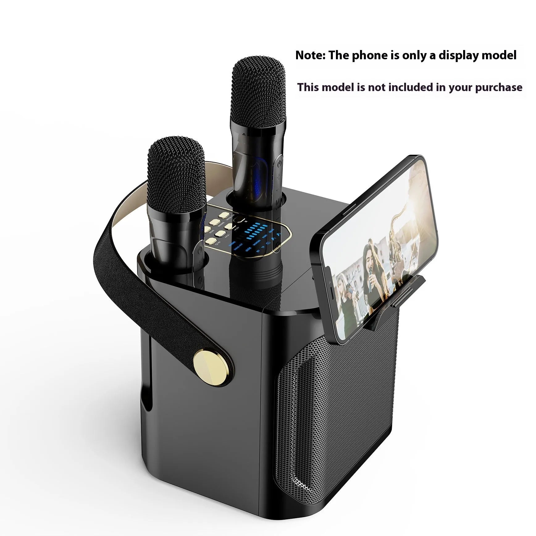 Bluetooth speaker with dual microphones for outdoor karaoke, black colour, showing front panel and microphone slots