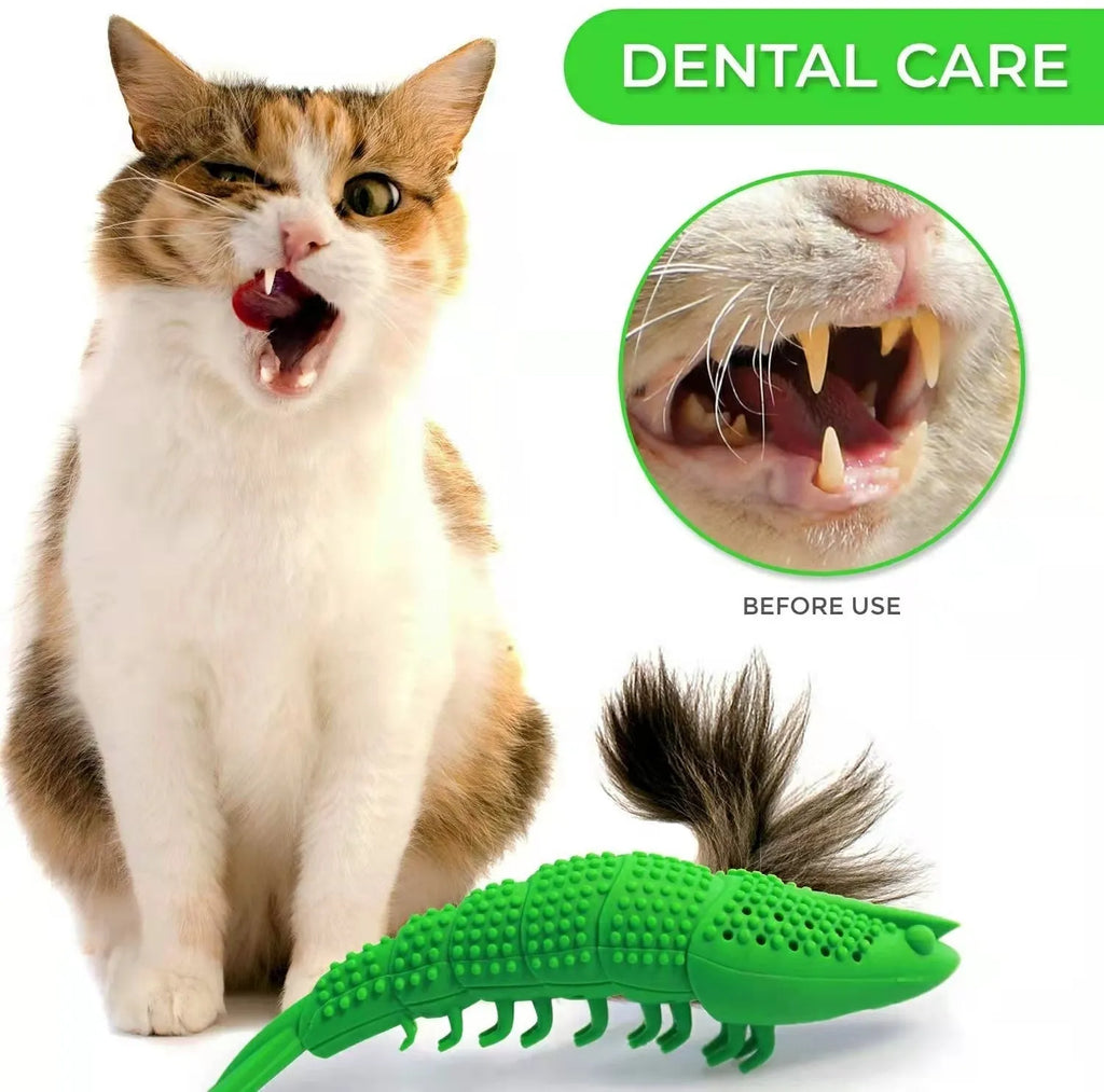Blue hard rubber cat toy with a 360-degree teeth cleaning design and a bell inside.
