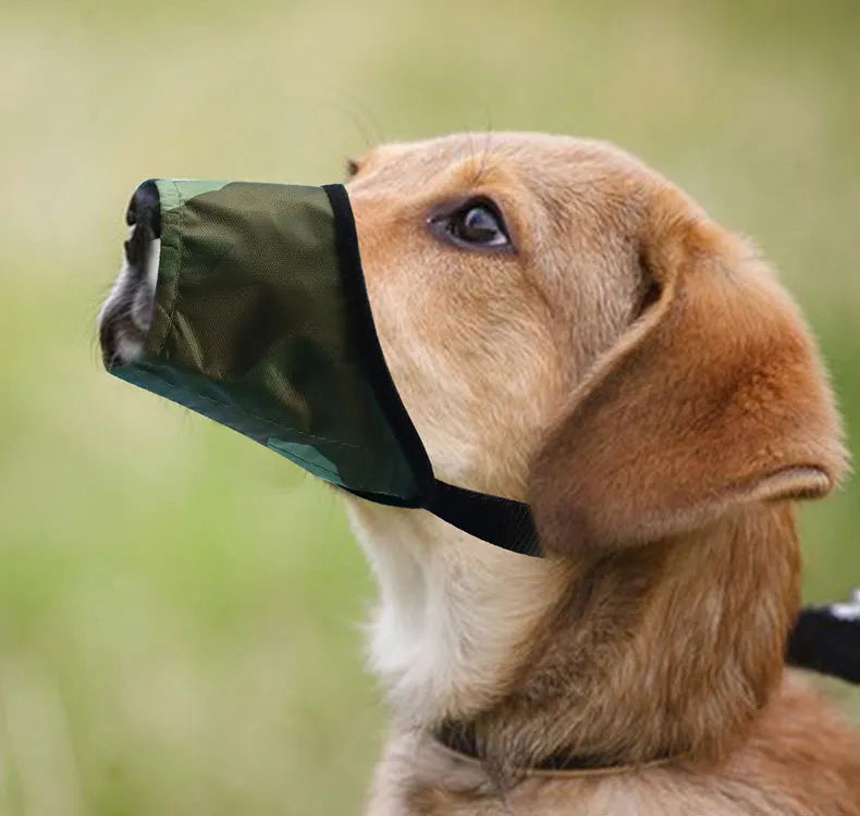 Waterproof anti-bite dog mouth cover in black nylon and PVC with adjustable strap
