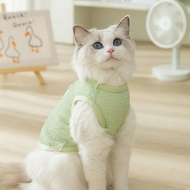 Colourful hollowed-out knitted cat clothing with a cartoon bear patch on the back