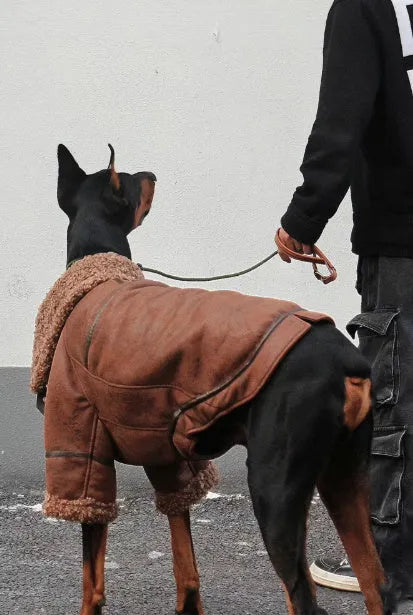 Winter plus velvet pet lapel leather coat for big dogs with denim fleece collar in 4XL