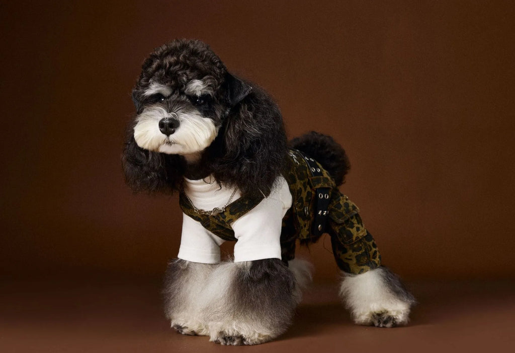 Dog wearing leopard print cotton overalls in a casual autumn outdoor setting