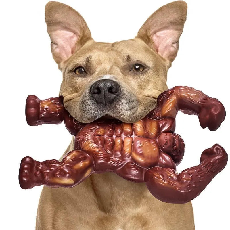 Scarlet nylon dog chew bone toy with beef scent for molar nibbling