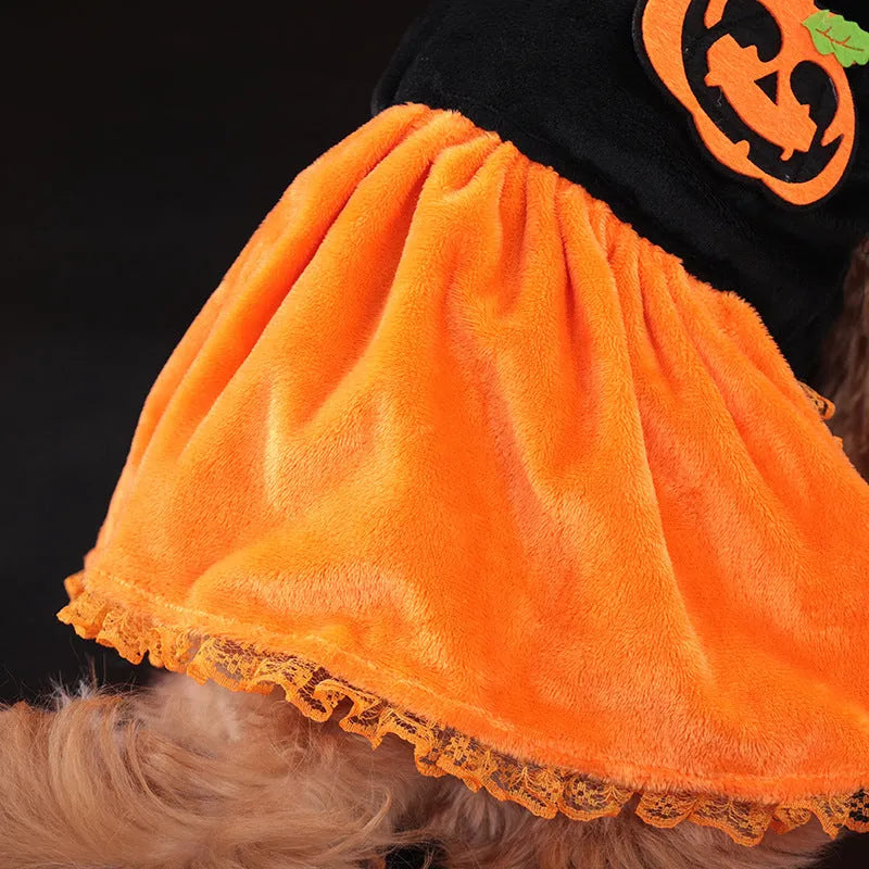 Pet dog wearing a classic orange pumpkin skirt Halloween costume made from Crystal Velvet fabric.
