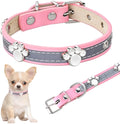 Reflective brown leather dog collar with metal paw print rivets and an adjustable buckle.