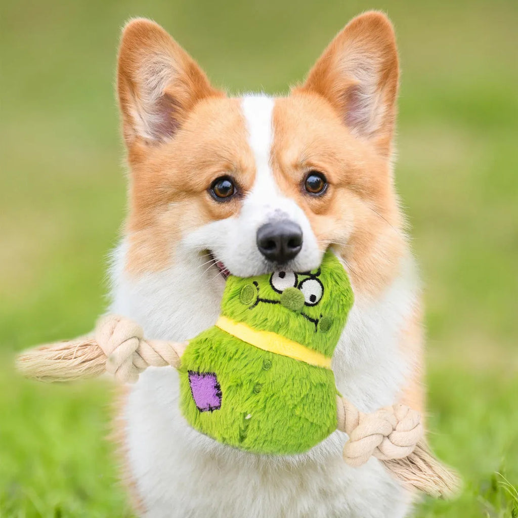 Green and purple interactive plush rope dog toy with knot design and squeaker for tug-of-war games.