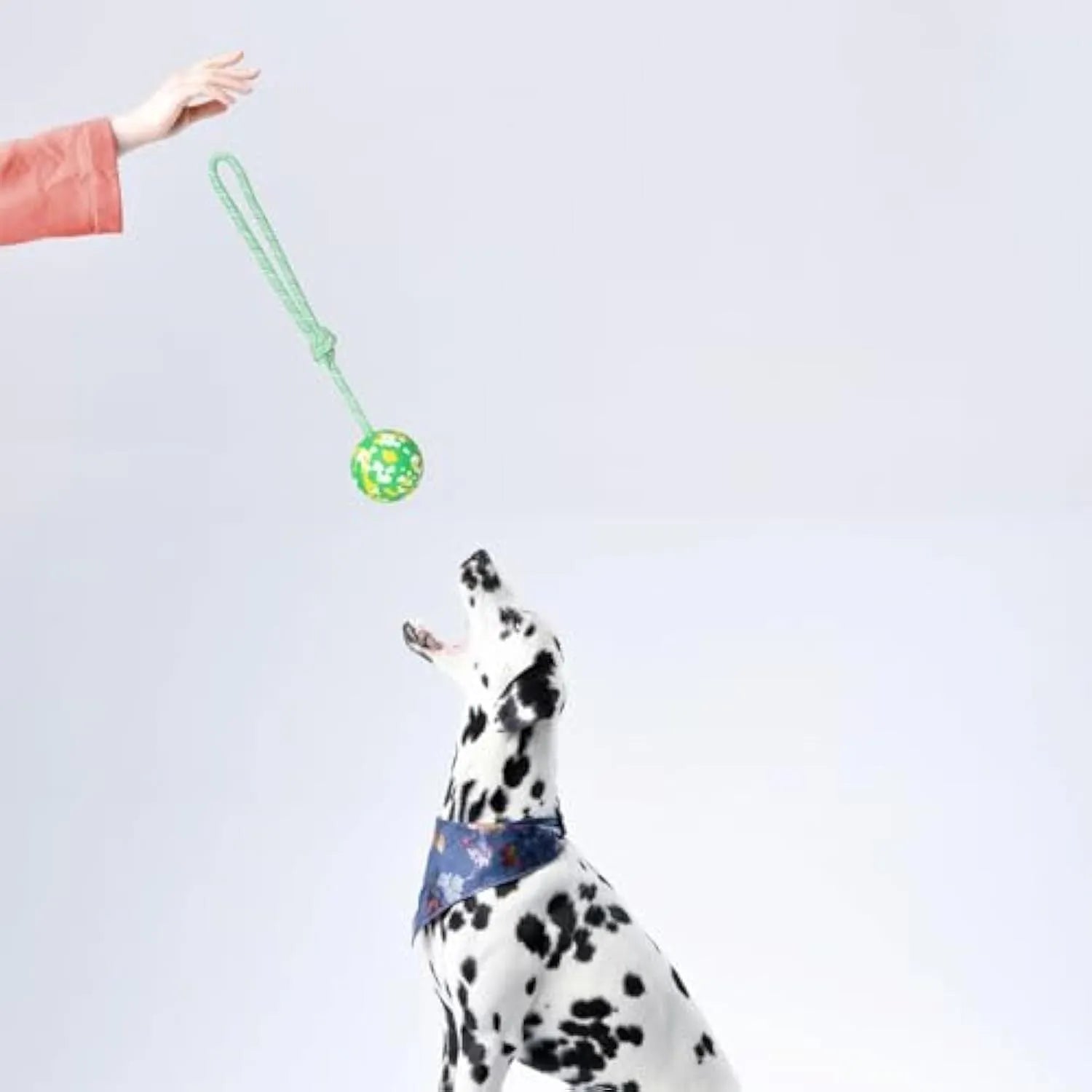 Natural rubber dog ball on nylon rope toy in L and S sizes for medium and small dogs