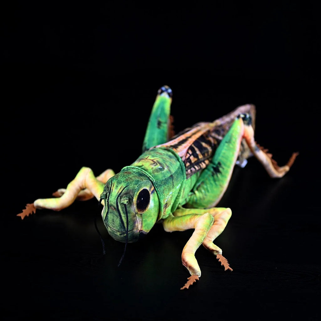 Simulation grasshopper doll plush toy 35cm flannel green insect soft toy