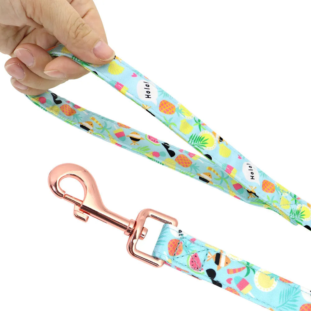 Small dog leash set with adjustable collar and towing rope in blue green red yellow colours