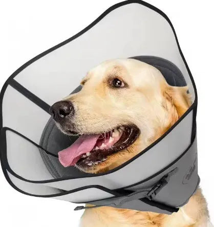 Adjustable polyester pet sterilization collar in small, medium, and large sizes