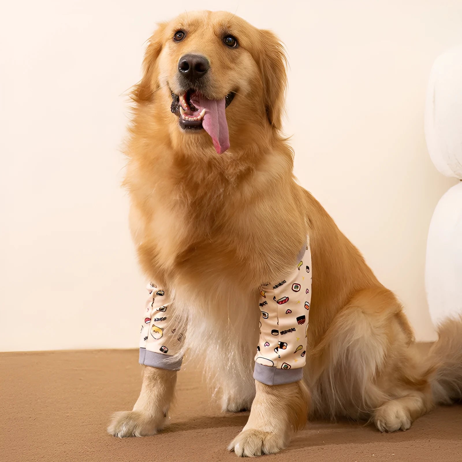 Blue dog knee protector with extra-thick padded elbow patch and adjustable buckle, shown with matching scarf