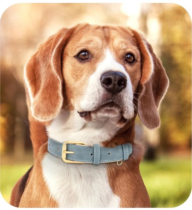 Brown double-layer leather dog collar with metal buckle and matching traction rope on a table