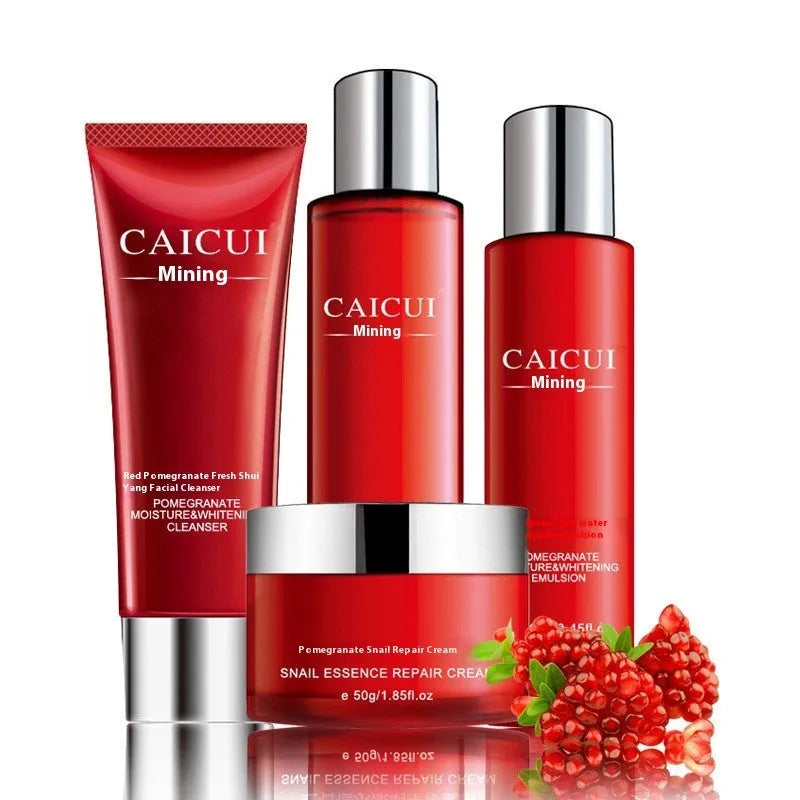 Pomegranate skincare set with four cosmetic products for moisturising and oil control