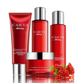 Pomegranate skincare set with four cosmetic products for moisturising and oil control
