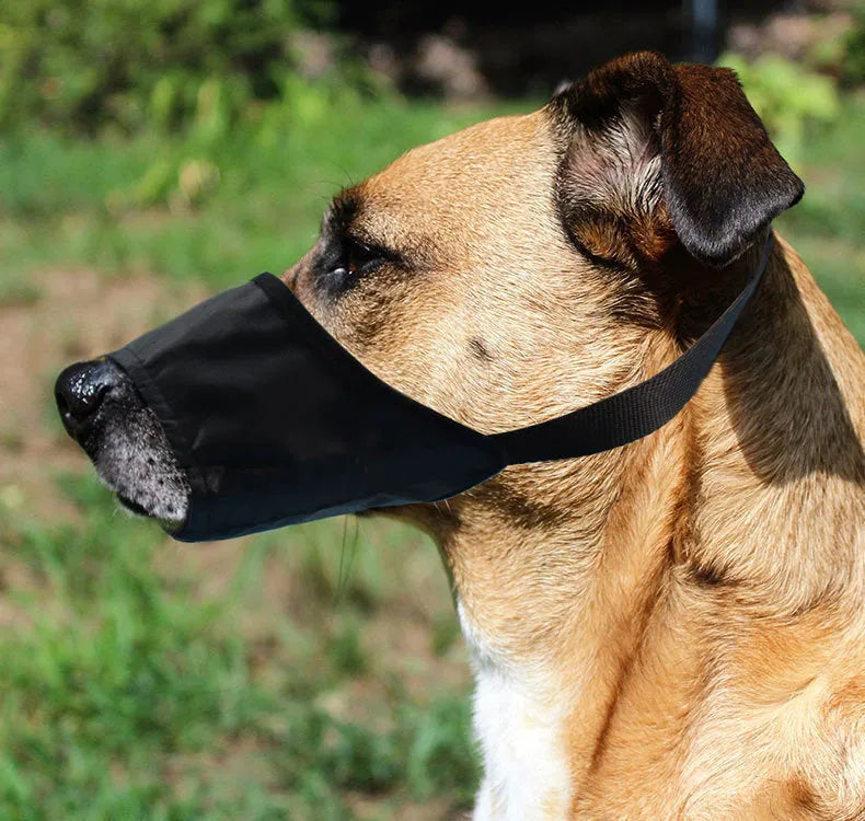 Waterproof anti-bite dog mouth cover in black nylon and PVC with adjustable strap