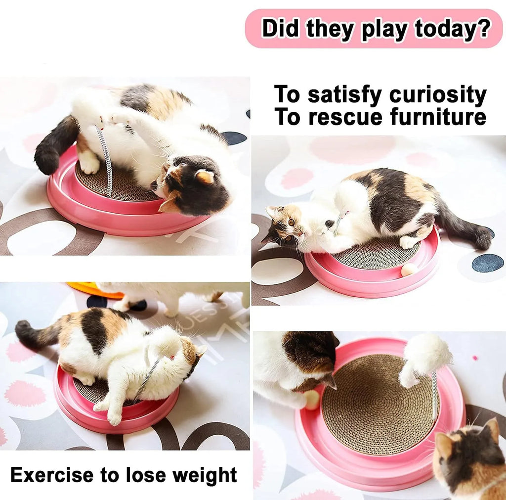 Blue circular cat scratcher with ball track and replaceable cardboard scratching surface
