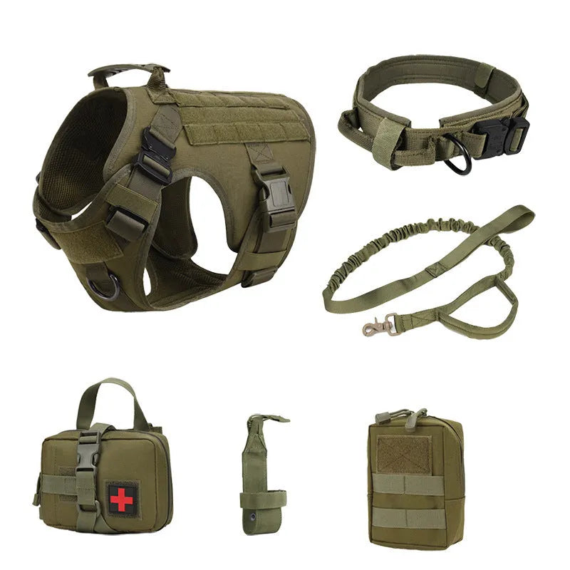 Dog wearing tactical combat vest set in CP camouflage with harness and protective gear