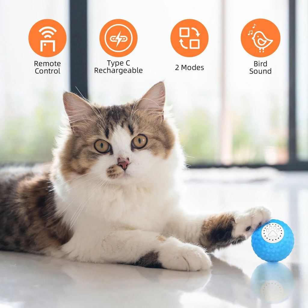 Remote control cat toy ball with LED lights in blue, green and yellow colour options