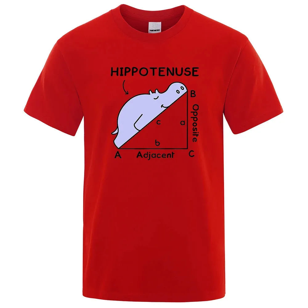 Cotton t-shirt with funny mathematics text print in multiple colour options