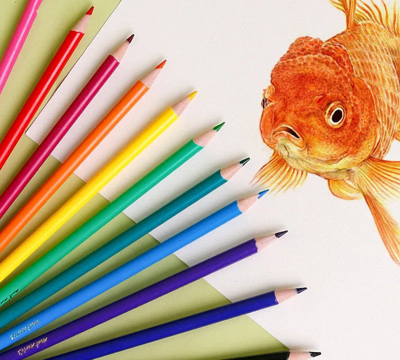 24-colour creative colour pencil set in cartoon-style paper shell with HB wood lead