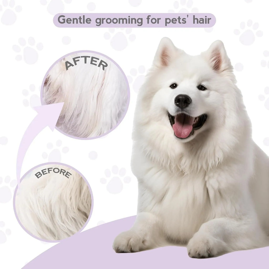 Purple pet detangling comb with stainless steel teeth for dog and cat grooming