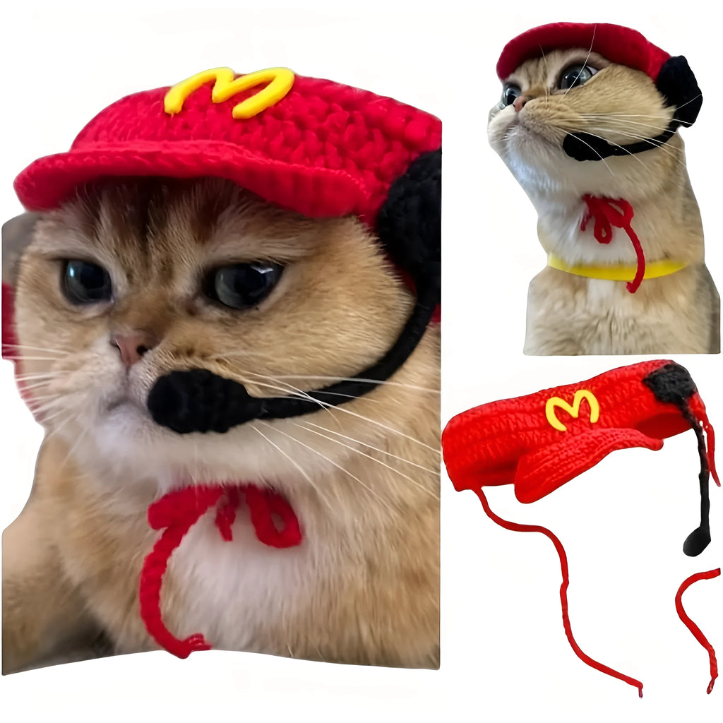 Handmade knitted cotton sweater and chef hat outfit on a small cat for a birthday party.