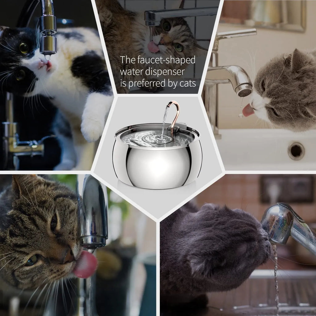 4L stainless steel pet water dispenser with copper tube gooseneck outlet and silent pump
