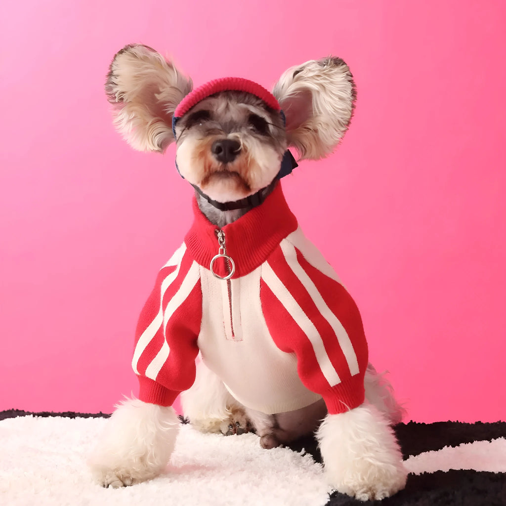 Red wool dog cardigan sweater shown on canine model with front opening and casual sports style