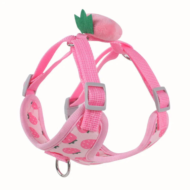 Reflective orange dog walking vest with chest strap and matching hand-held rope for small dogs.