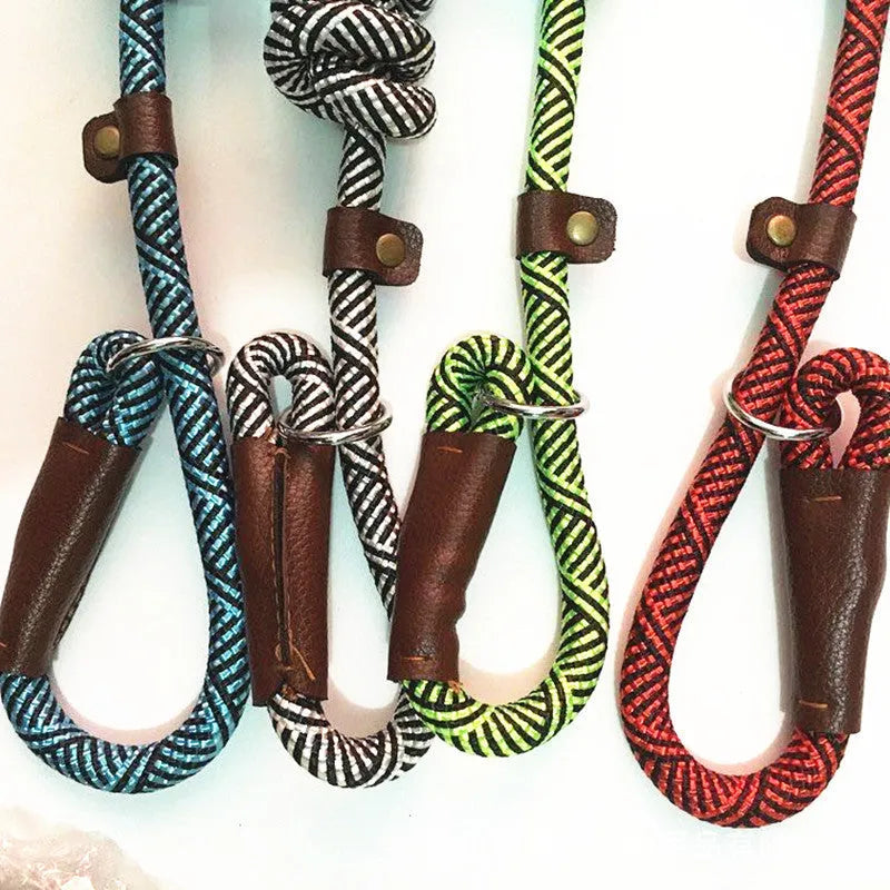 Nylon dog training leash 160cm long and 1.2cm wide for medium dogs, shown in blue, red, green, or beige