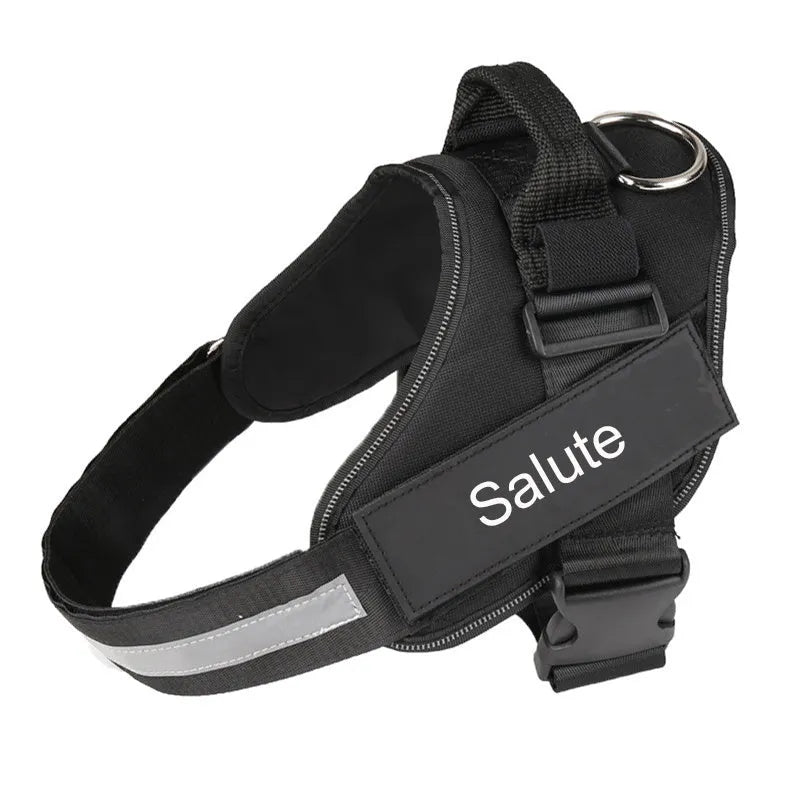 Adjustable reflective dog harness in blue with a handle and chest strap on a dog