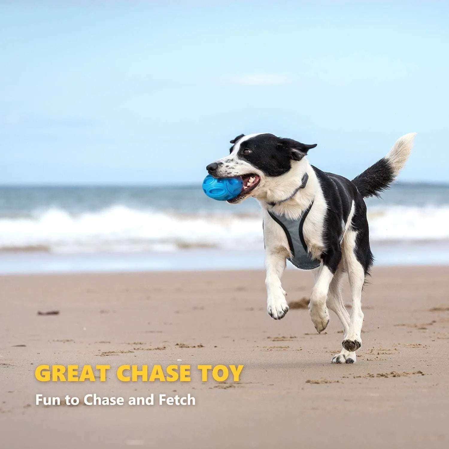 Blue, green, and orange natural rubber squeaky dog toy ball with surface grooves for medium/large breed dogs.