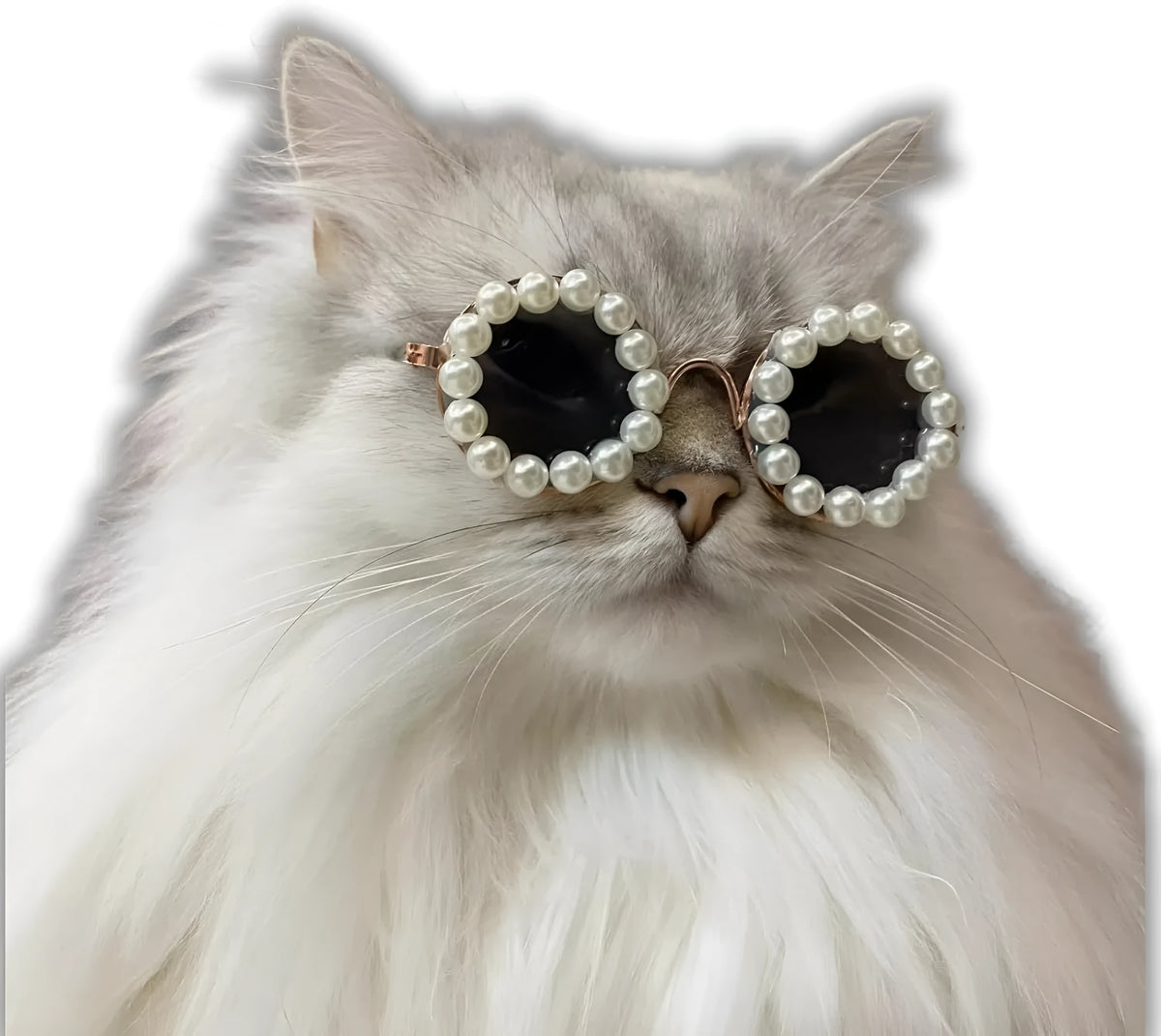 Pearl-rimmed round sunglasses on a pet dog, shown in blue colour.