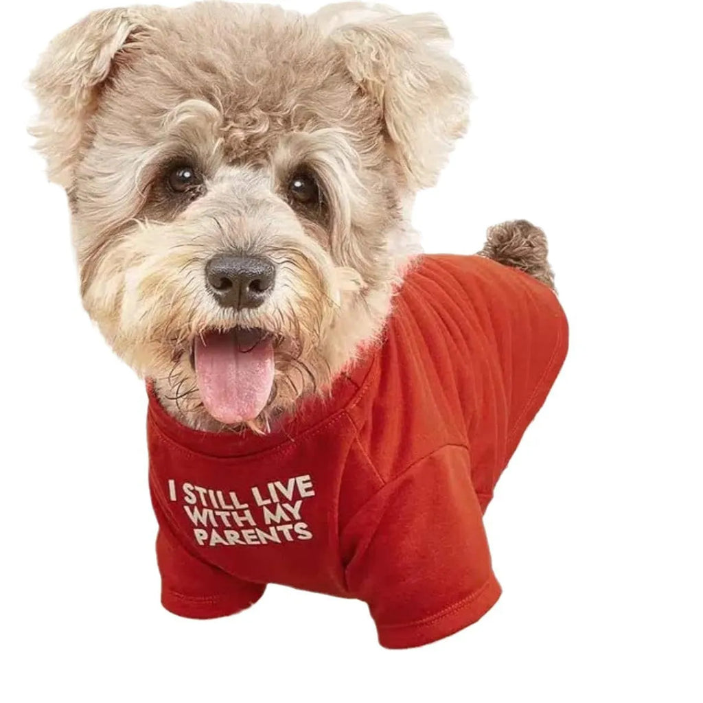Round neck polyester pet T-shirt in red, blue, black, and khaki, sizes S to XXL