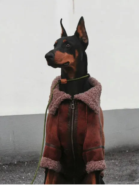 Winter plus velvet pet lapel leather coat for big dogs with denim fleece collar in 4XL