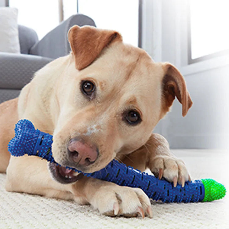 Blue-green silicone dog dental chew toy with serrated brush head and gum massage nodules